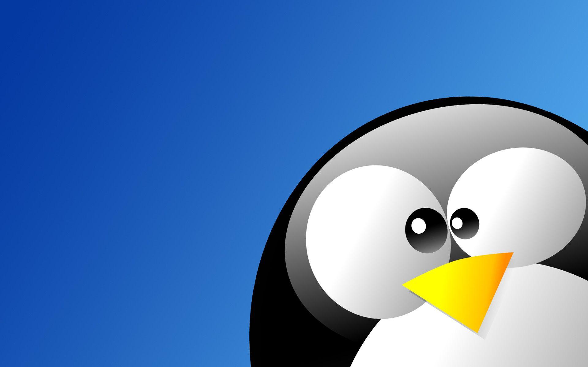 Tux Wallpaper HD wallpaper search