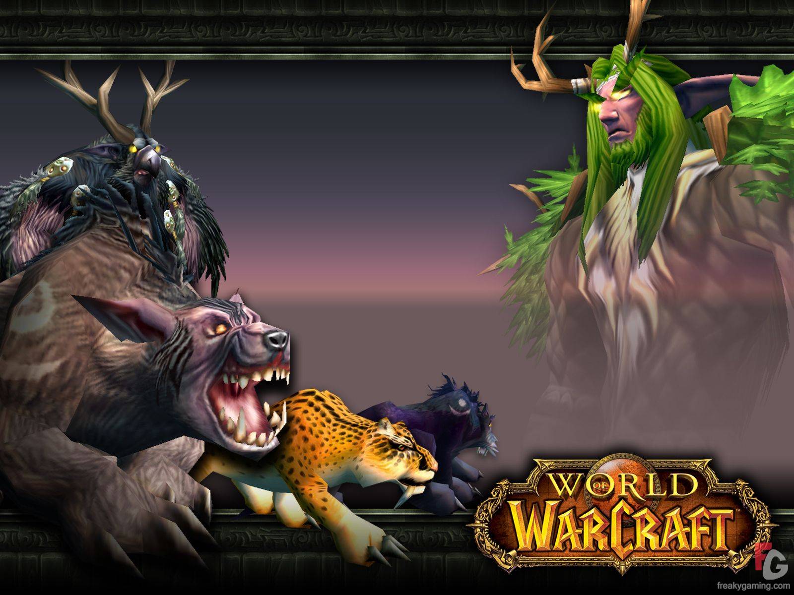 World Of Warcraft Druid Wallpaper Gallery At FreakyGaming Background