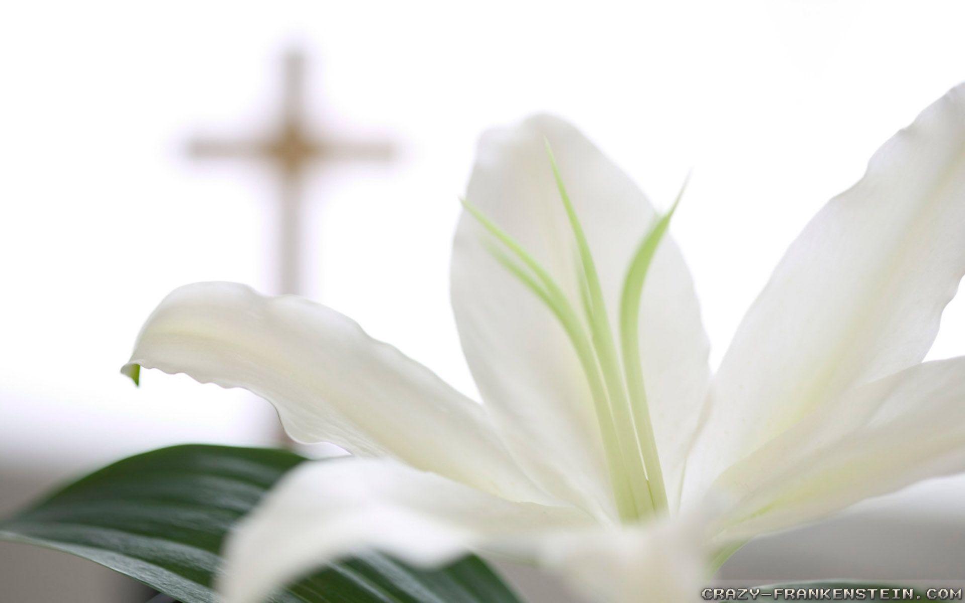 Religious Easter Wallpaper Background HD
