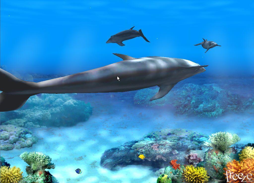 Living 3D Dolphins Animated Wallpaper Informer. 3D