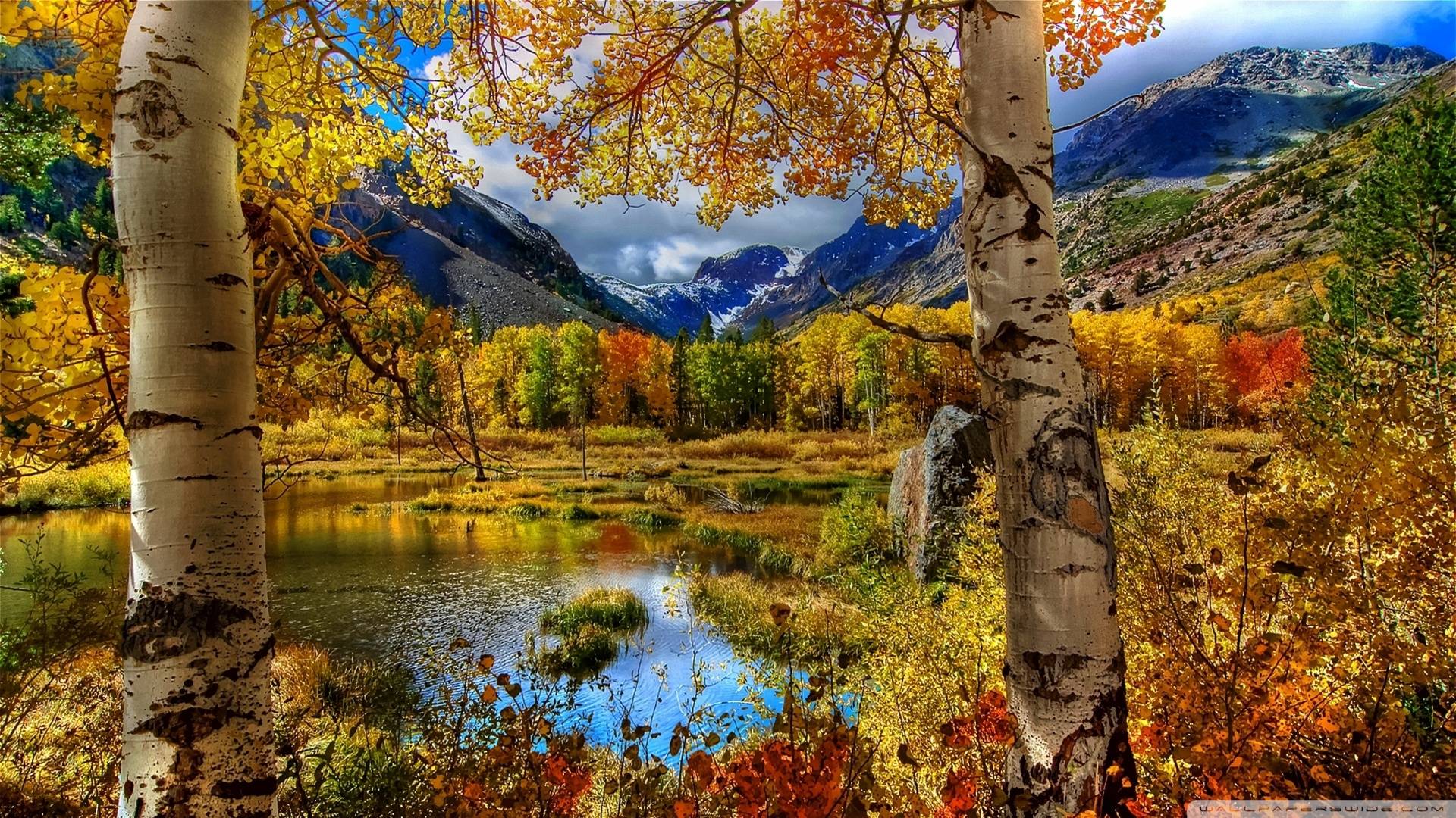 Fall Scenery Background