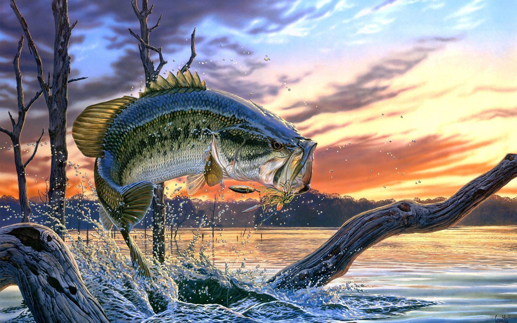 largemouth bass fishing wallpaper screensaver. Image