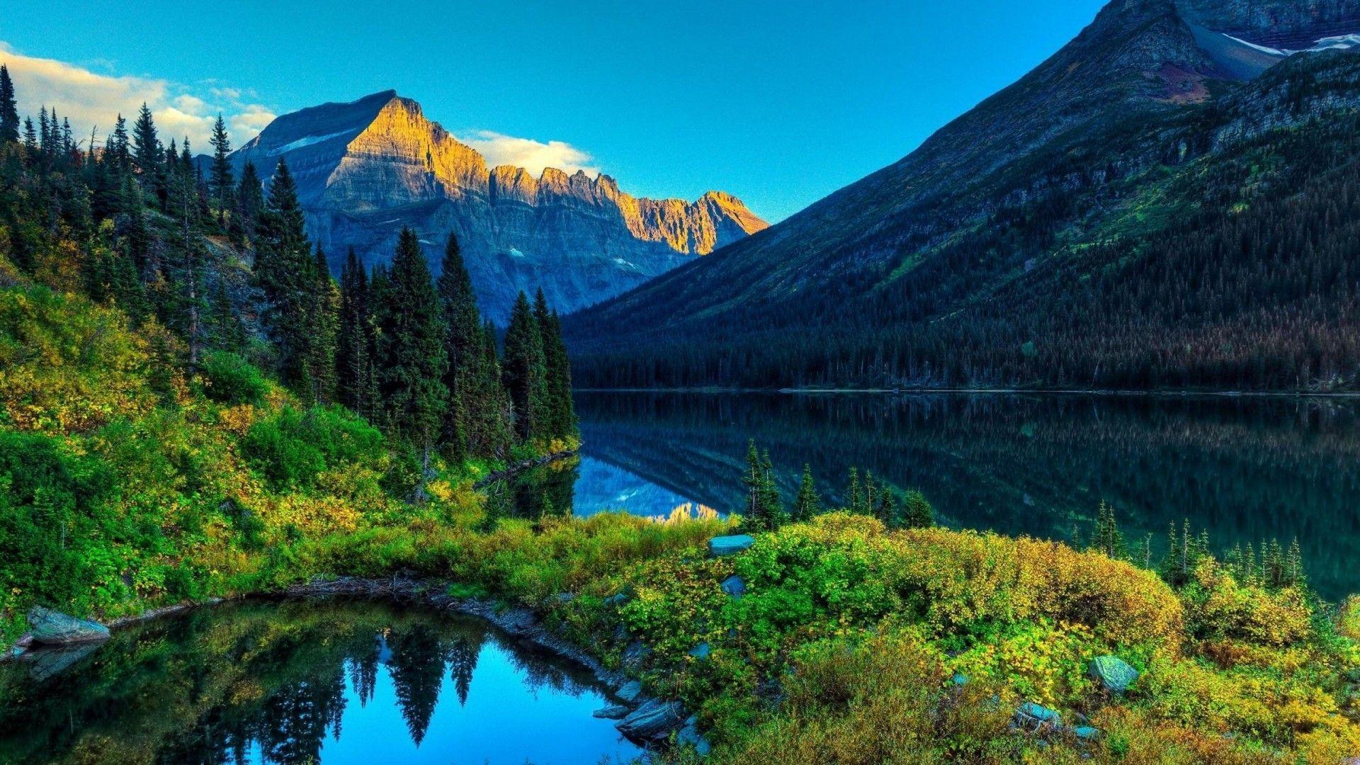 HD Wallpapers For PC 1920x1080 Wallpaper Cave