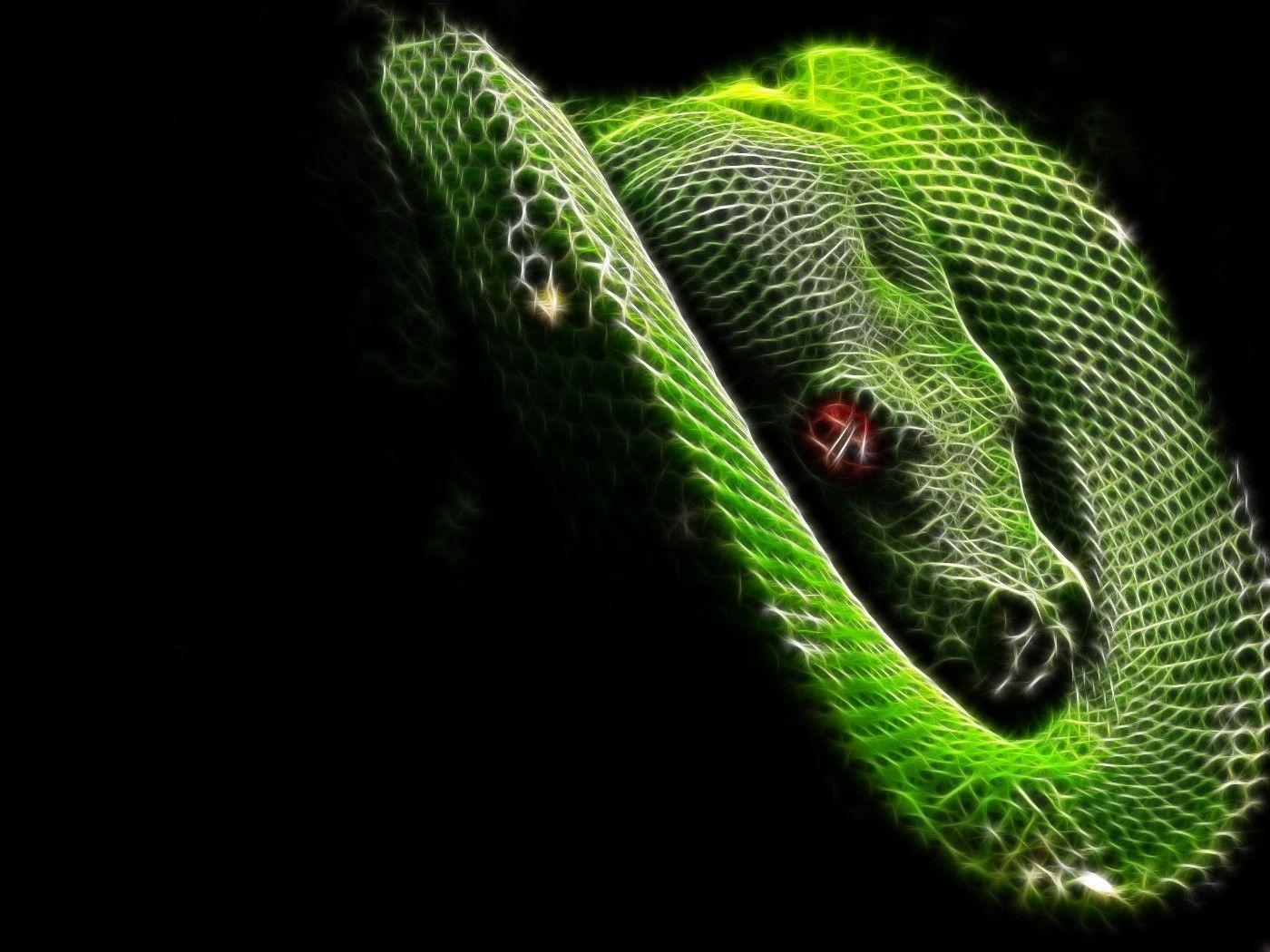 image For > Cool Snake Background