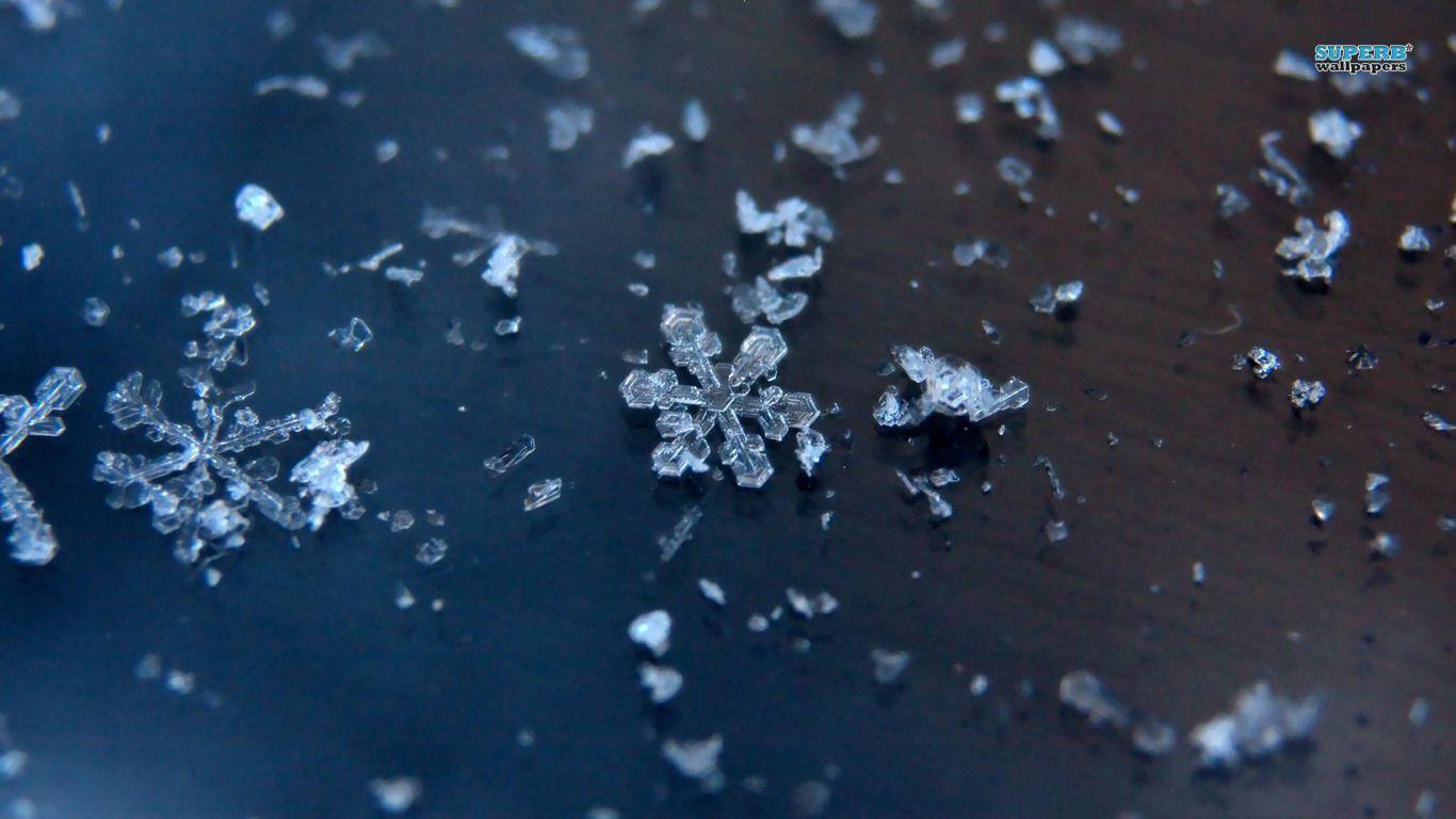 Snowflakes wallpaper wallpaper - #