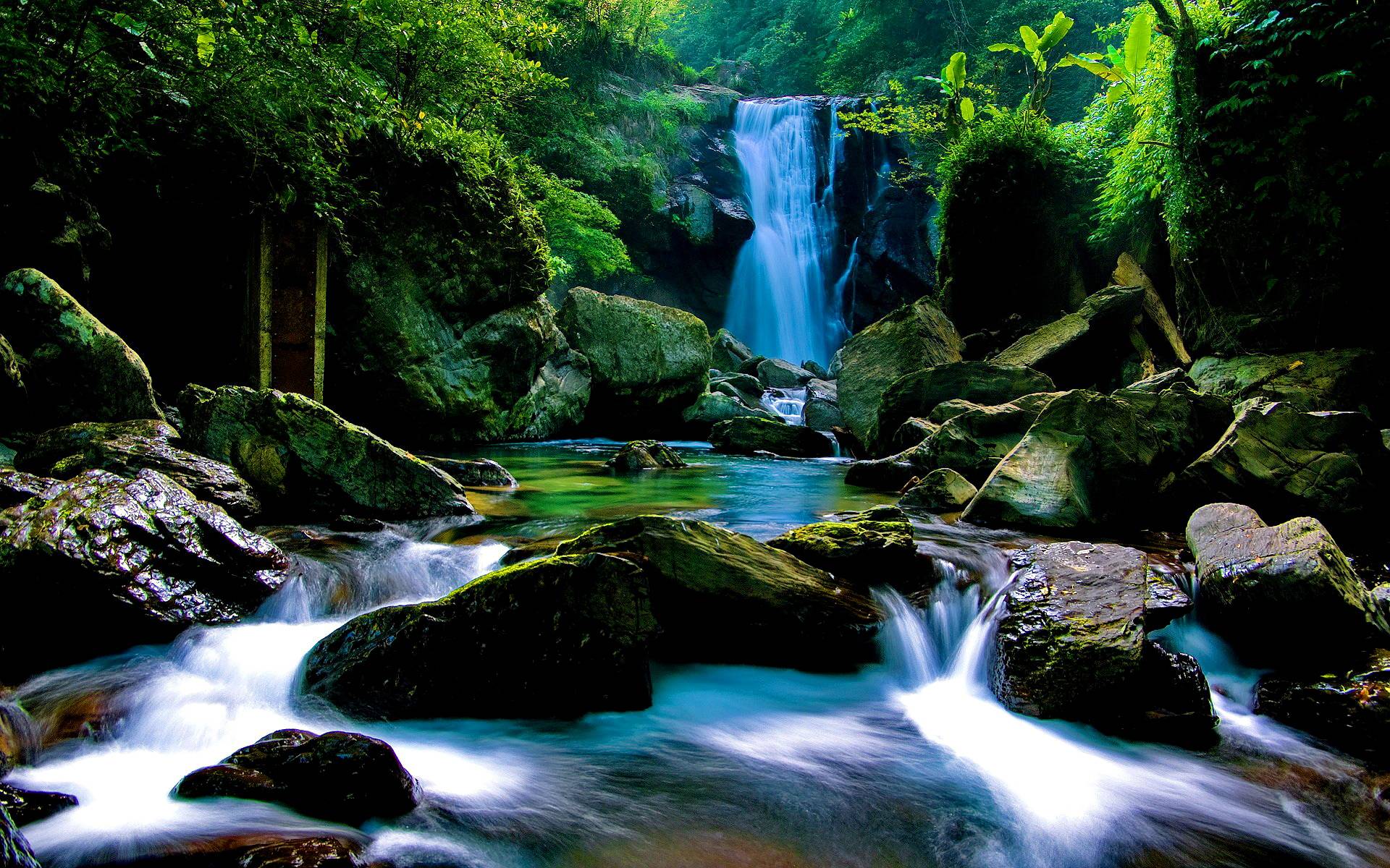 Forest Waterfall Wallpapers - Wallpaper Cave