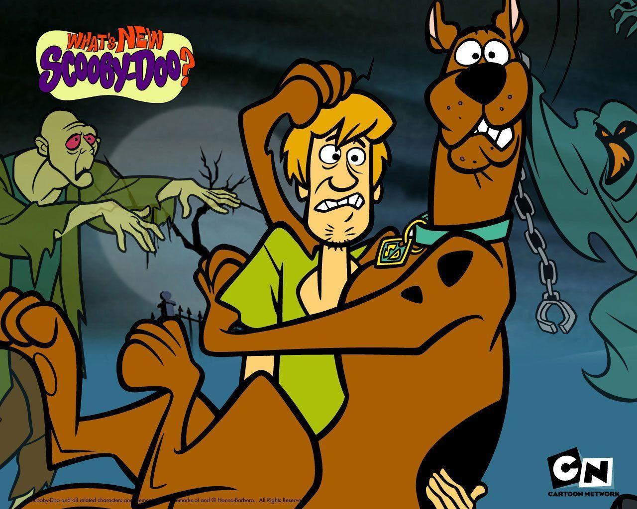 Scooby Doo And Shaggy Doo The Mystery Begins Wallpaper