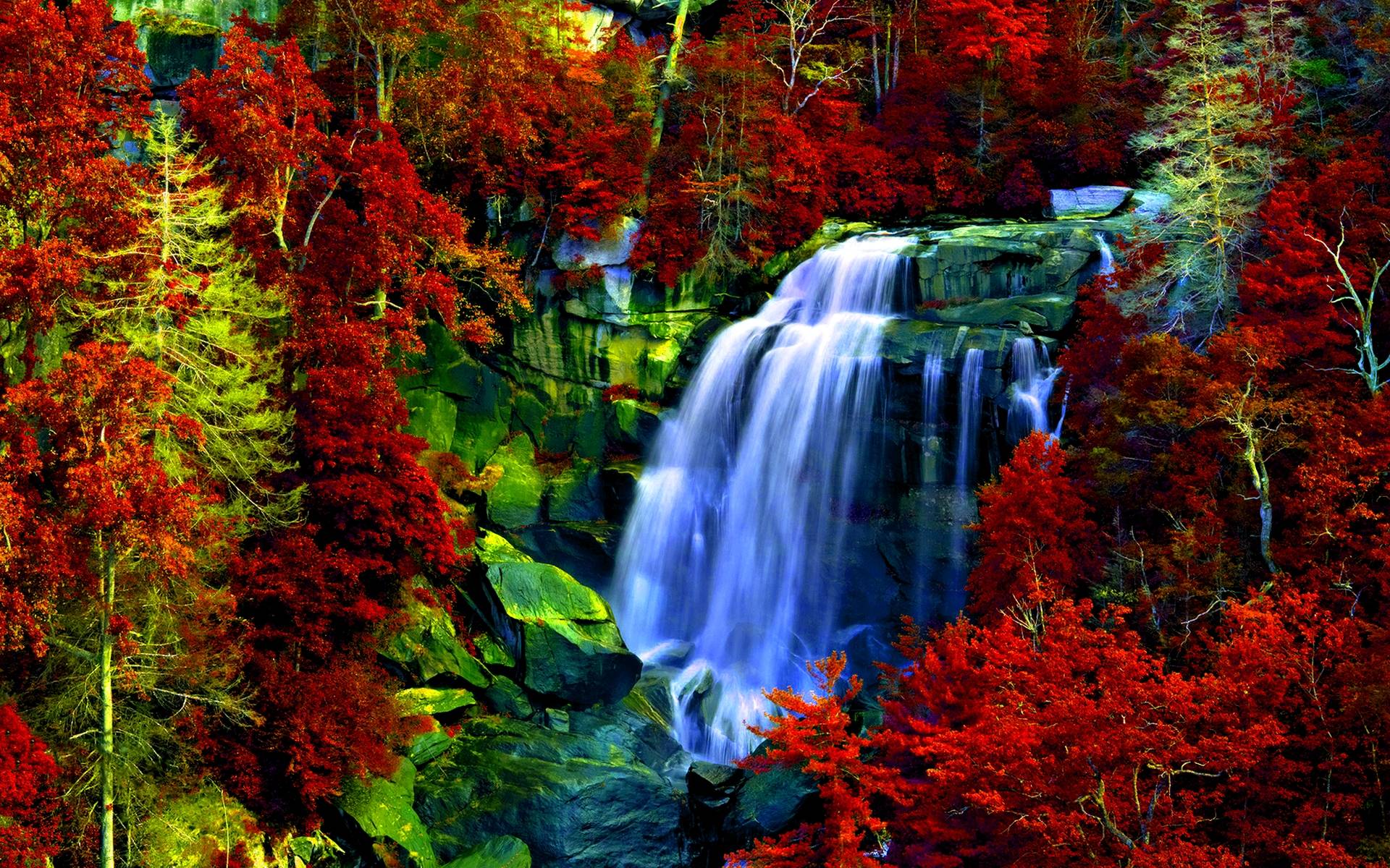 HD Autumn Forest Falls Wallpaper