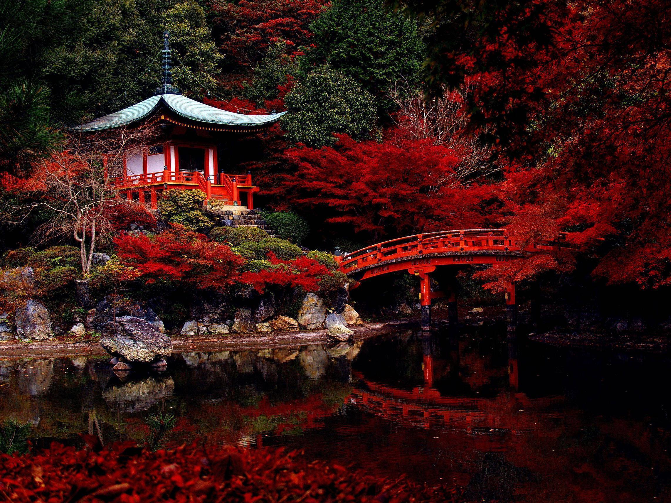 Japanese Garden At Night Awesome 719682 Inspiration Designs