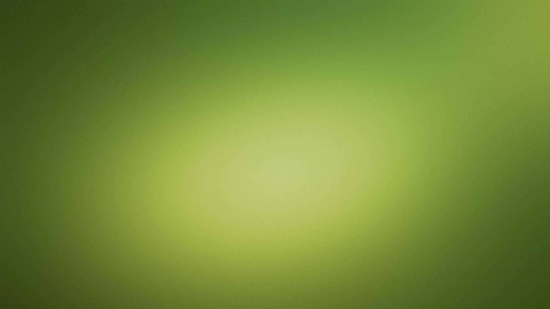 Download Light Green Background Wallpaper in 1920x1080 Resolution