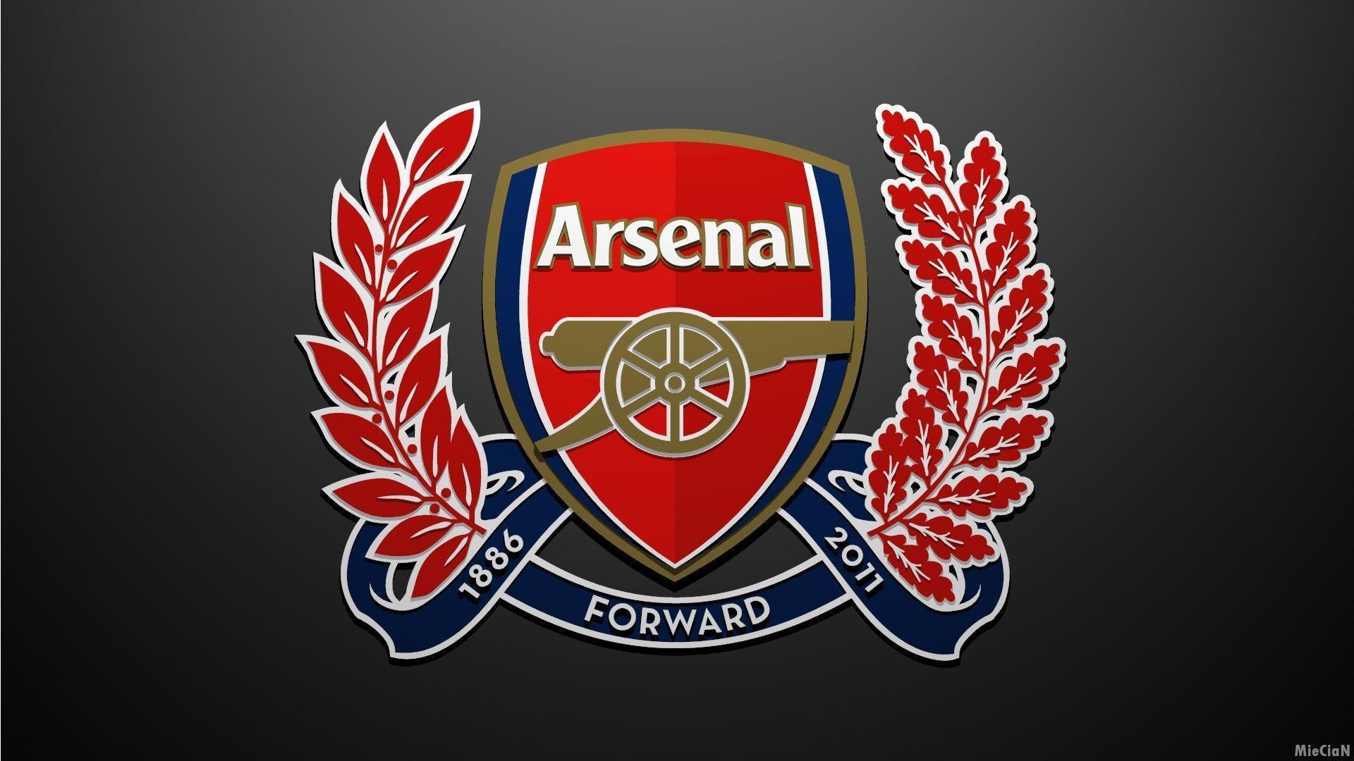 Arsenal FC Football Logo Background HD Wallpaper