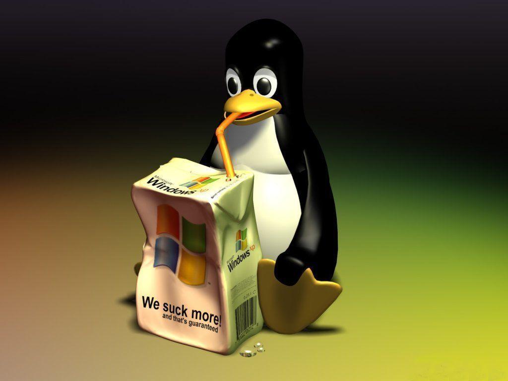 Desktop Background // Computers // Windows XP // Penguin Windows