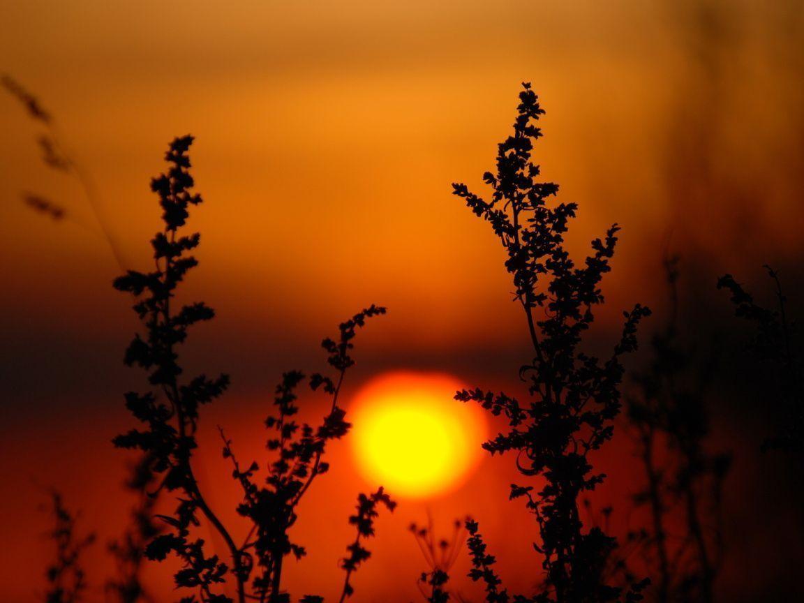 Peaceful Sunset desktop wallpaper