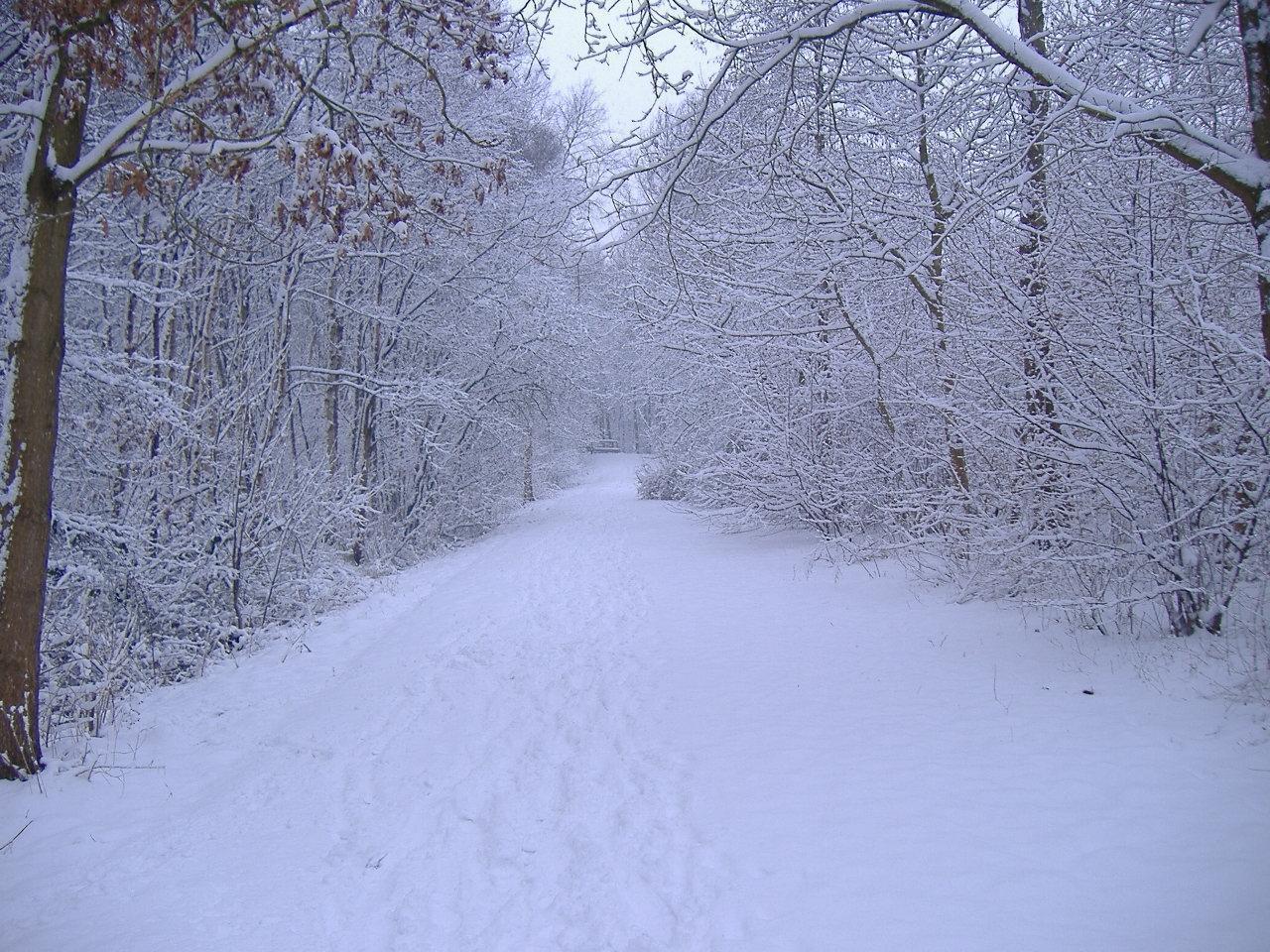 Winter Scenes 46 Background. Wallruru