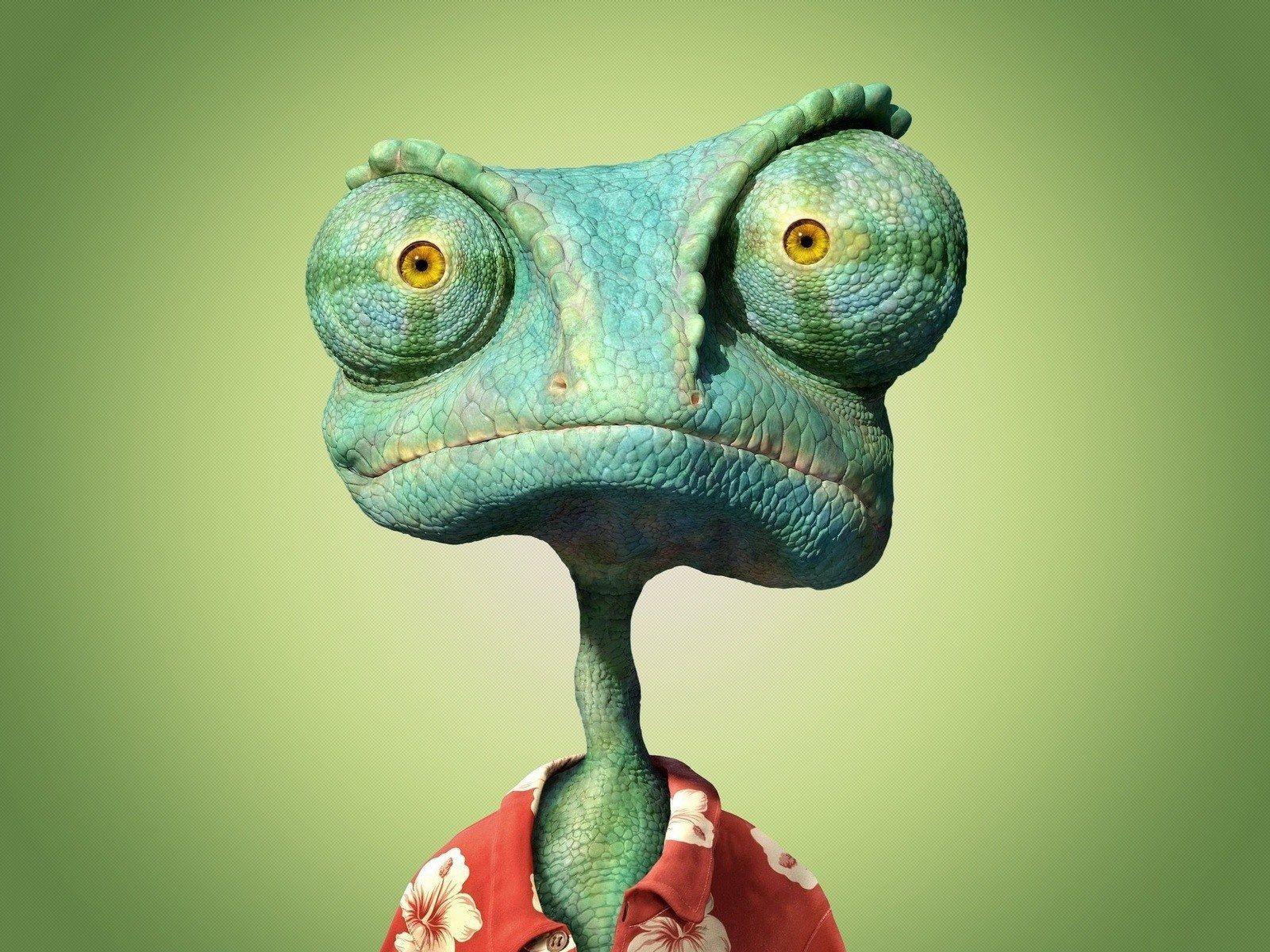 Funny Frog Wallpapers - Wallpaper Cave