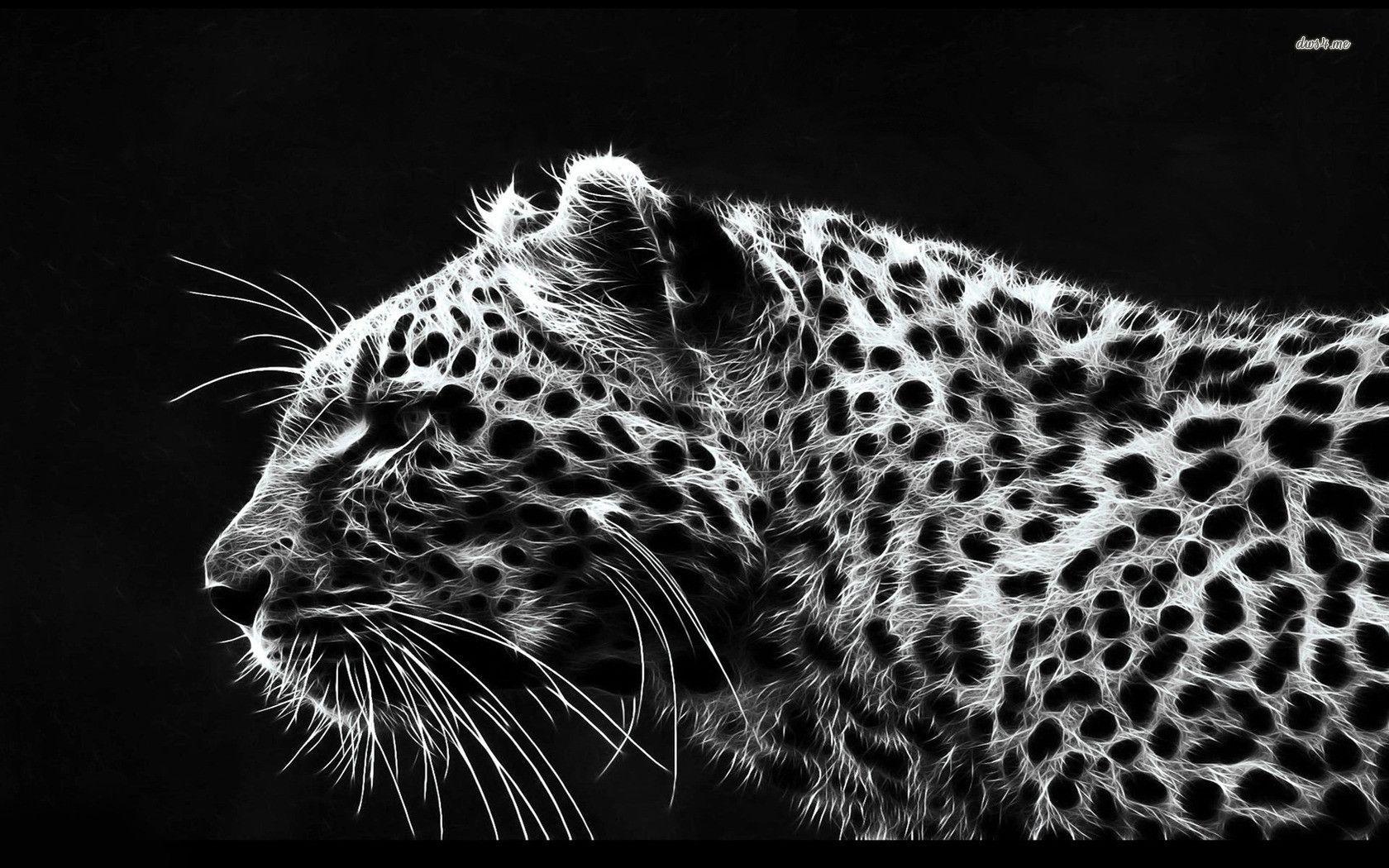 White Leopard Wallpapers - Wallpaper Cave