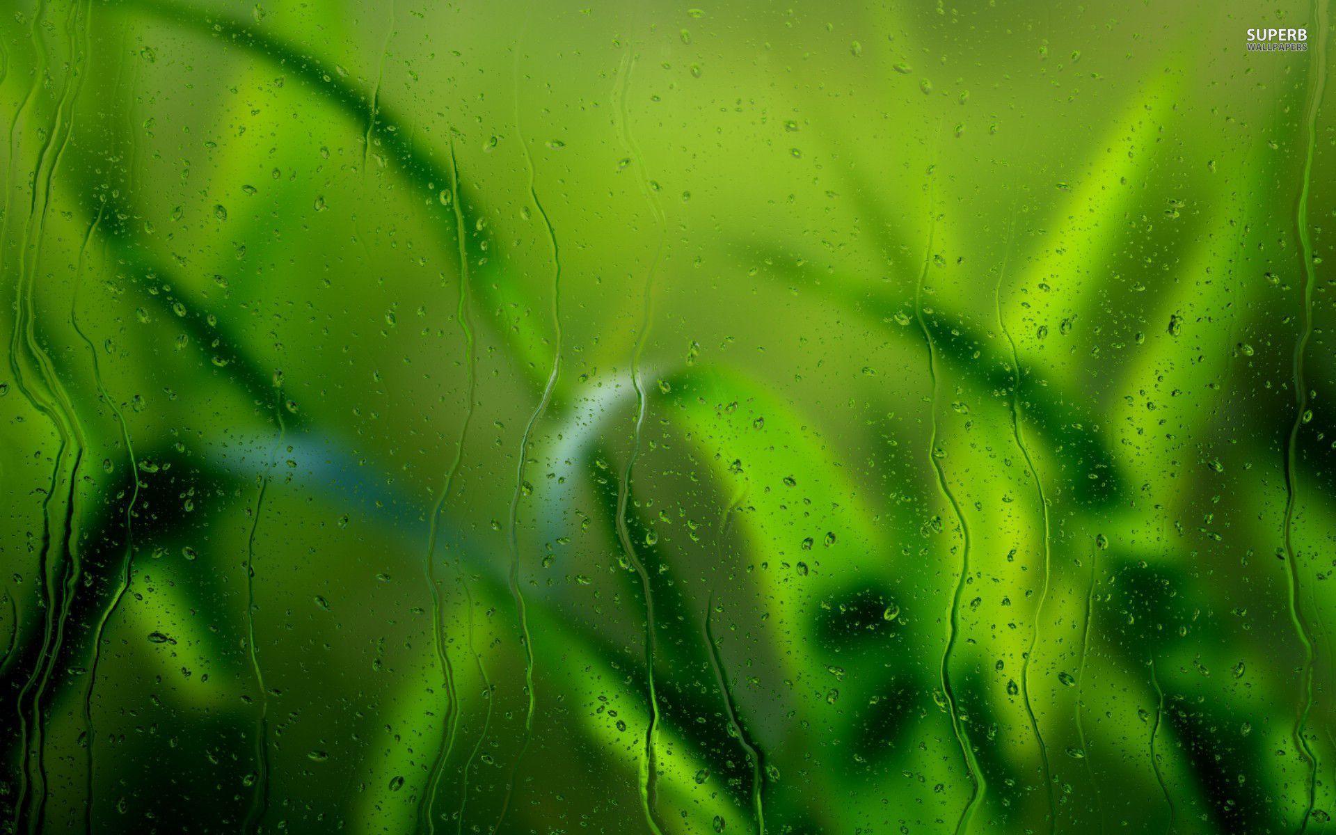 Grass behind rainy window, Desktop and mobile wallpaper