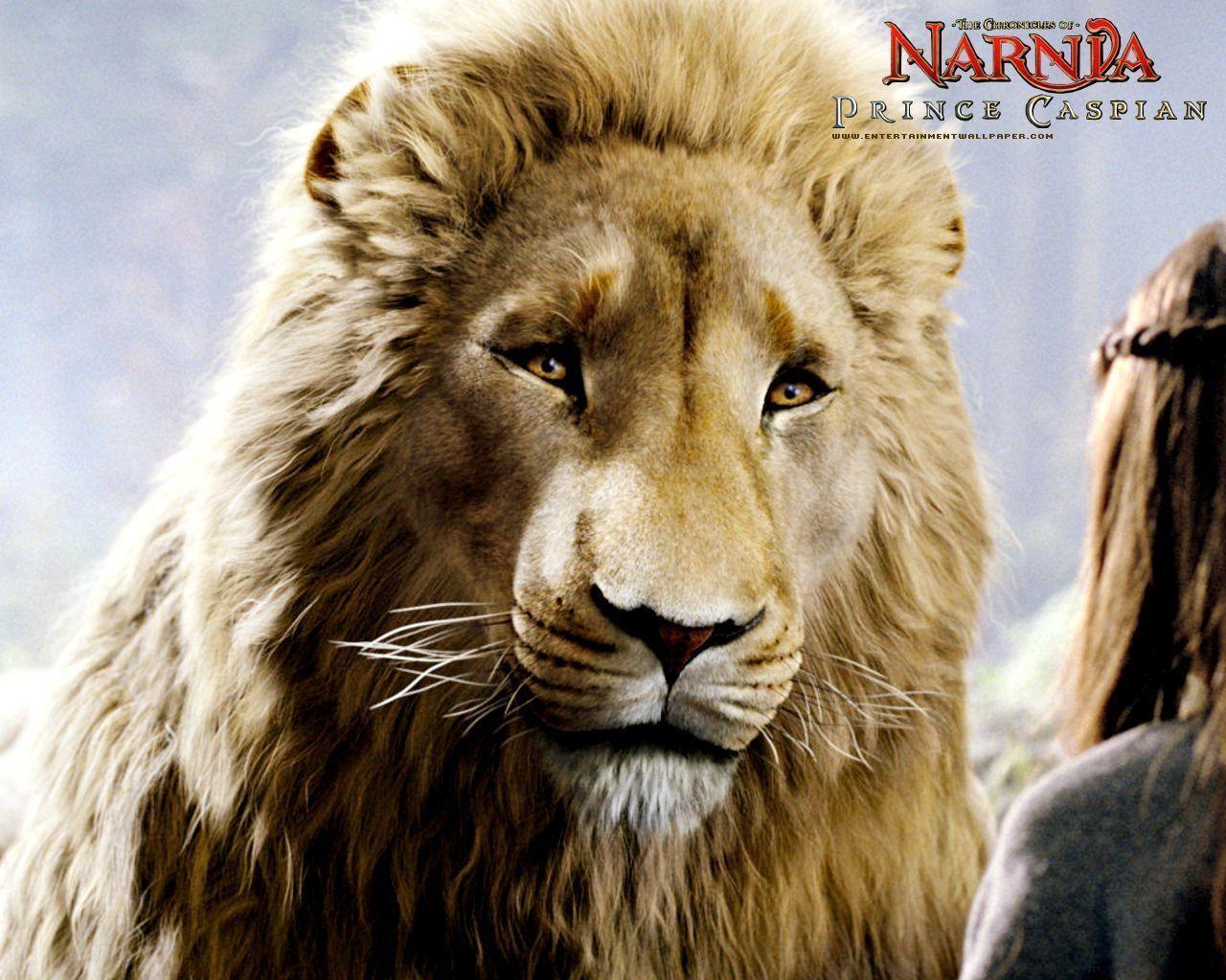 Aslan and Prince Caspian from Chronicles of Narnia Desktop Wallpaper