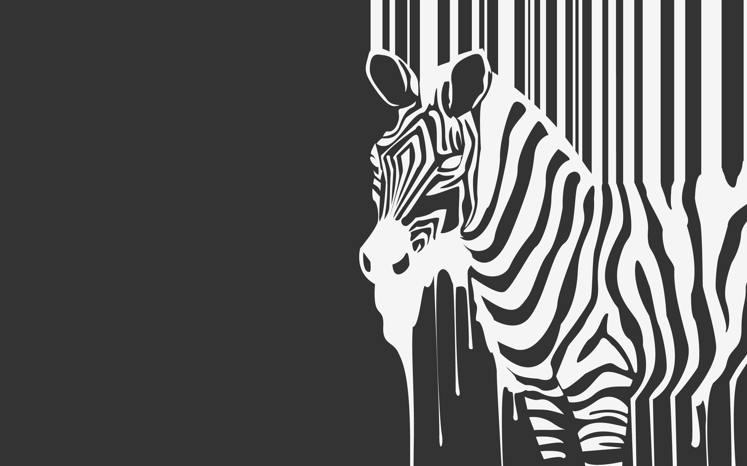 Drawn Wallpaper Black And White Zebra