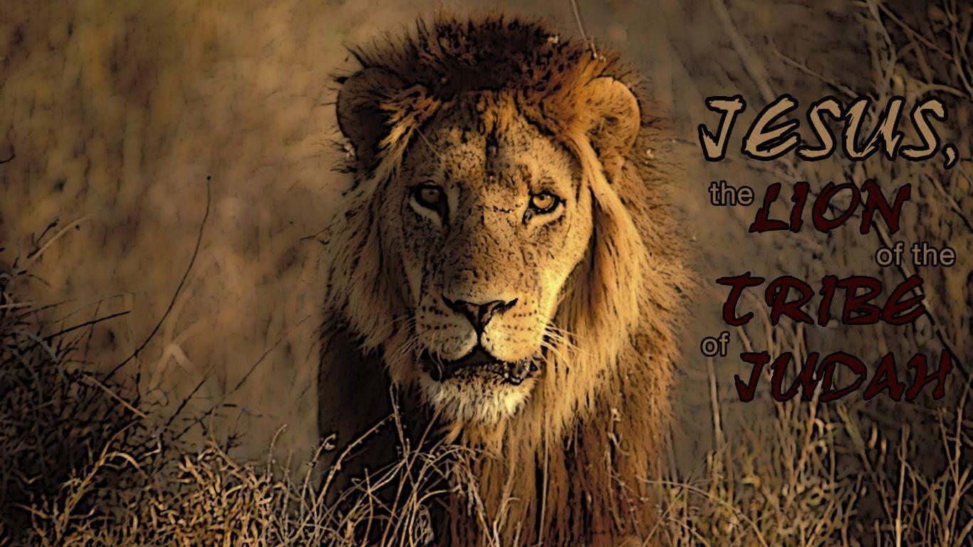 Wallpaper Lion Of Judah. Drawing and Coloring for Kids