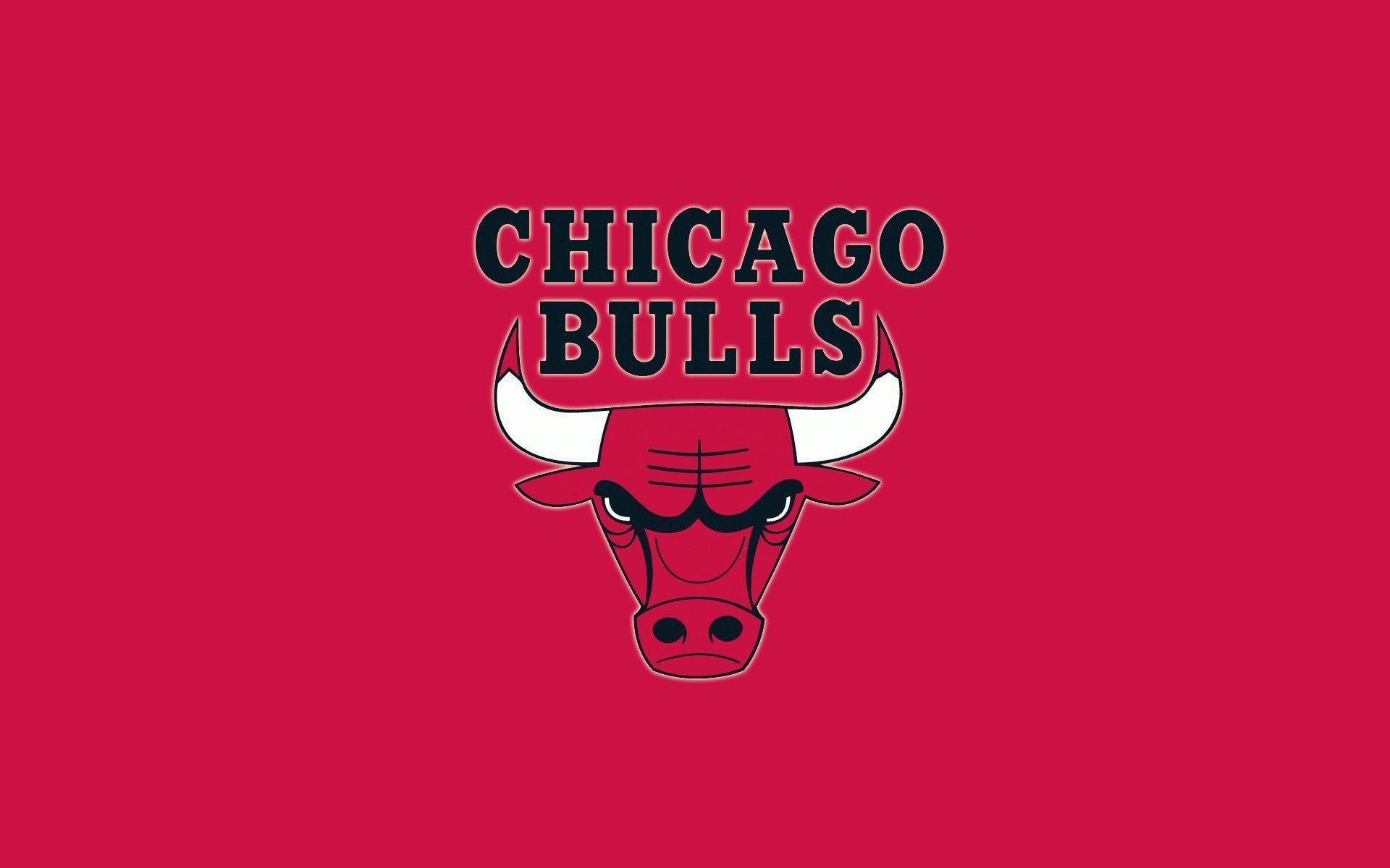 Bulls Logo Red Background Wallpaper