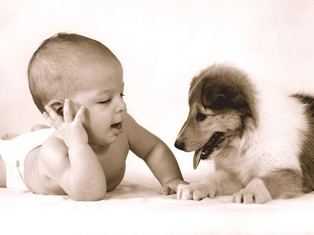 Baby With Dog Playing Wallpaper