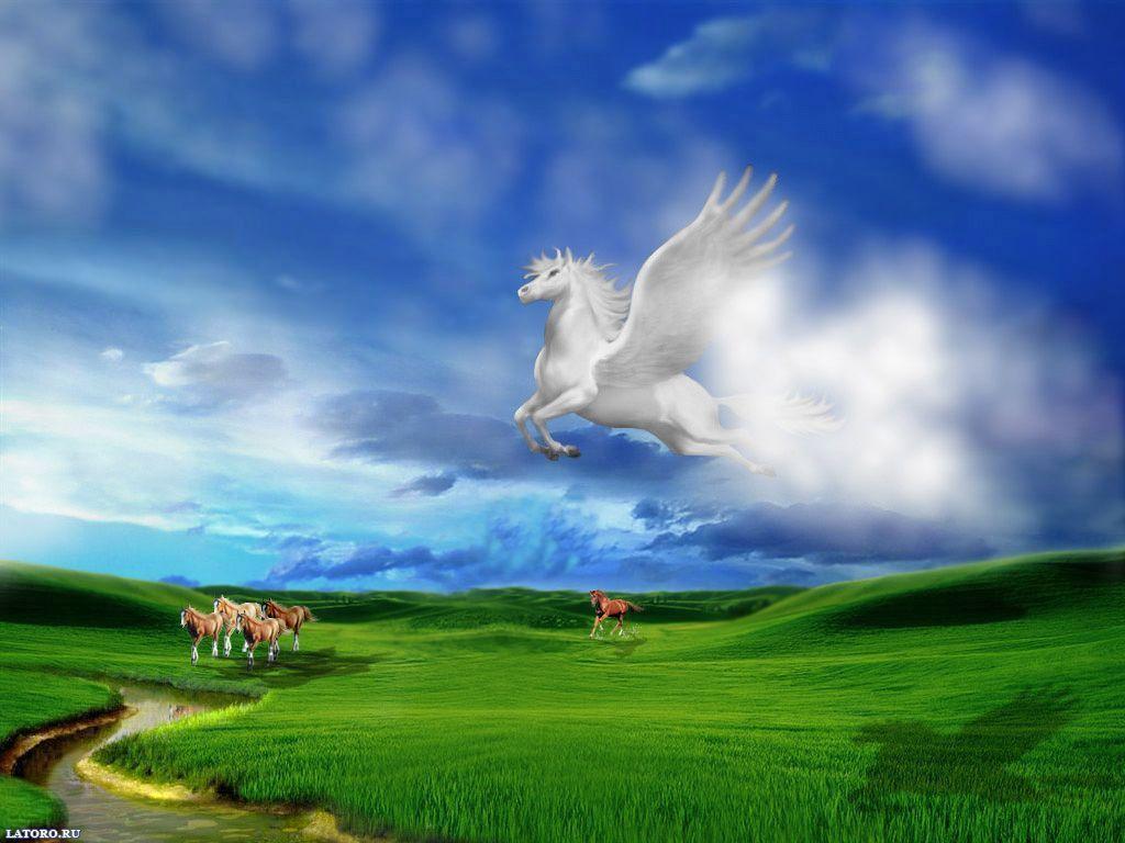 White Horse HD Art Wallpaper full HD for Mobile, Desktop