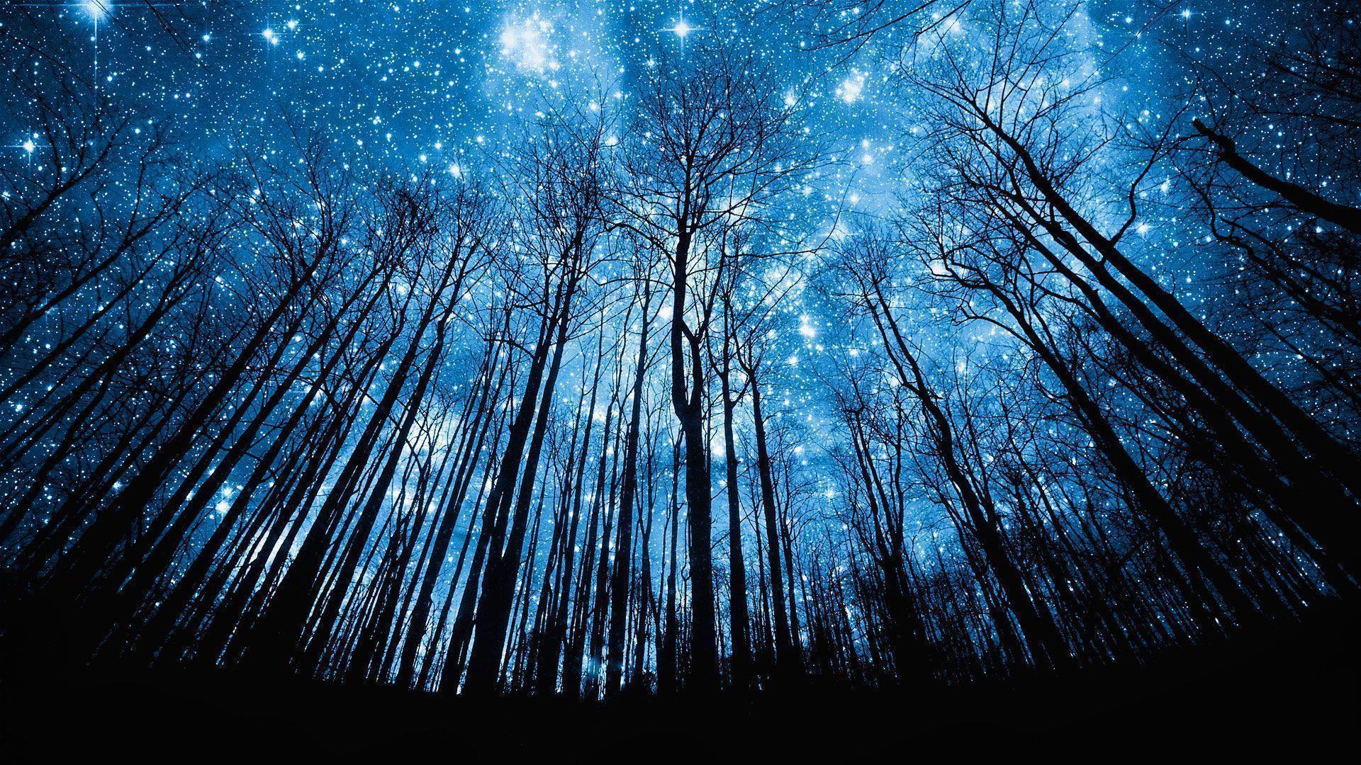 Nighttime Sky With Stars