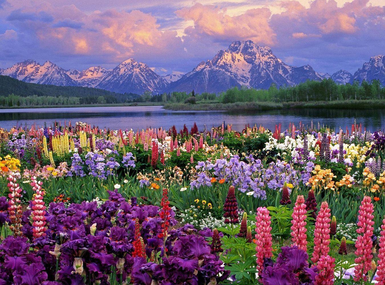 beautiful spring scene with lake and mountains high definition