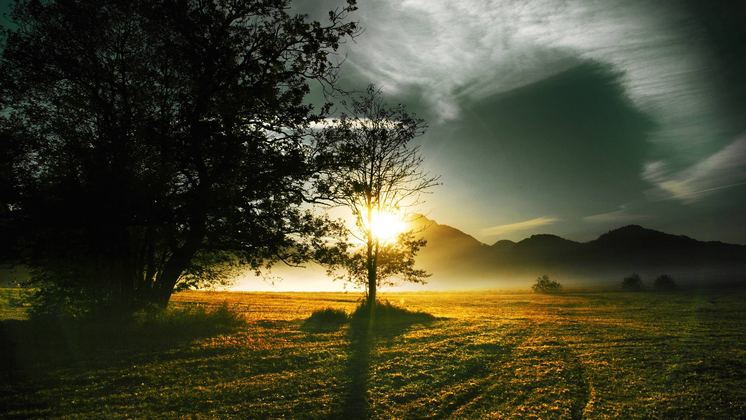 The rays of the morning sun, mountains and trees Wallpaper
