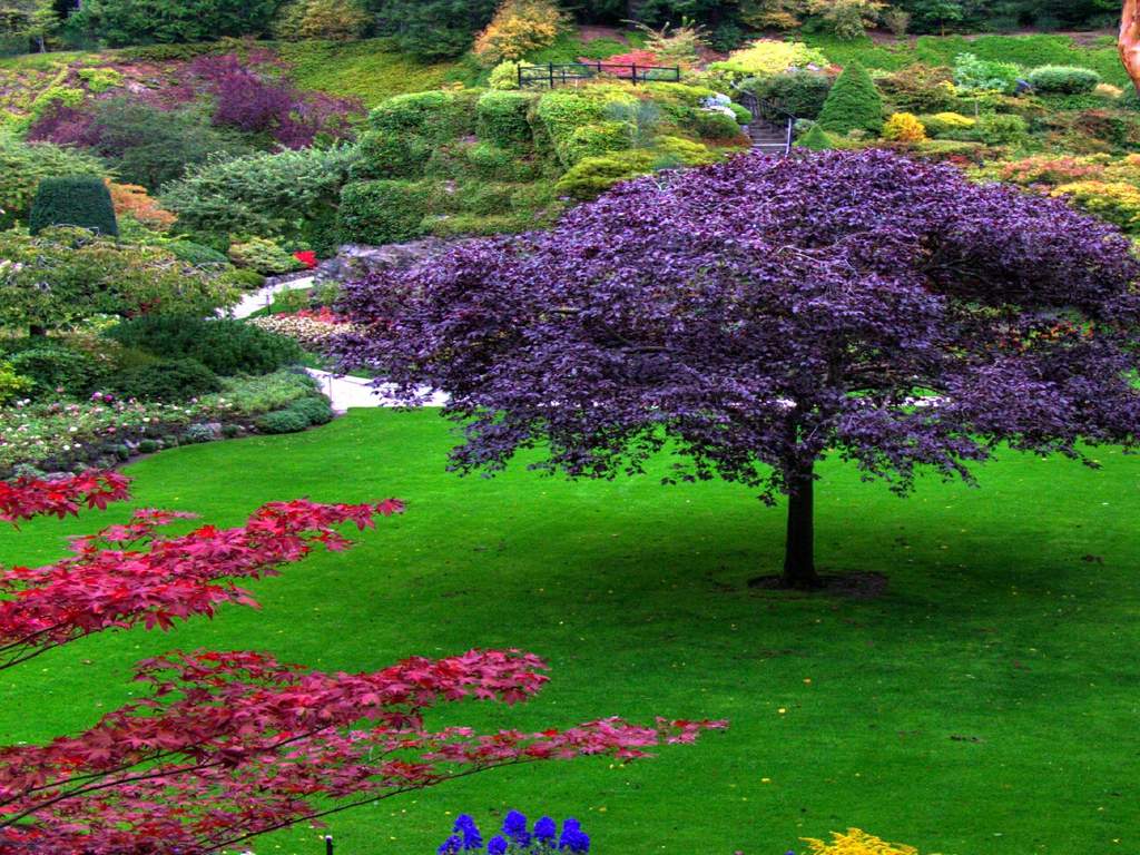 Beautiful Garden Wallpapers - Wallpaper Cave