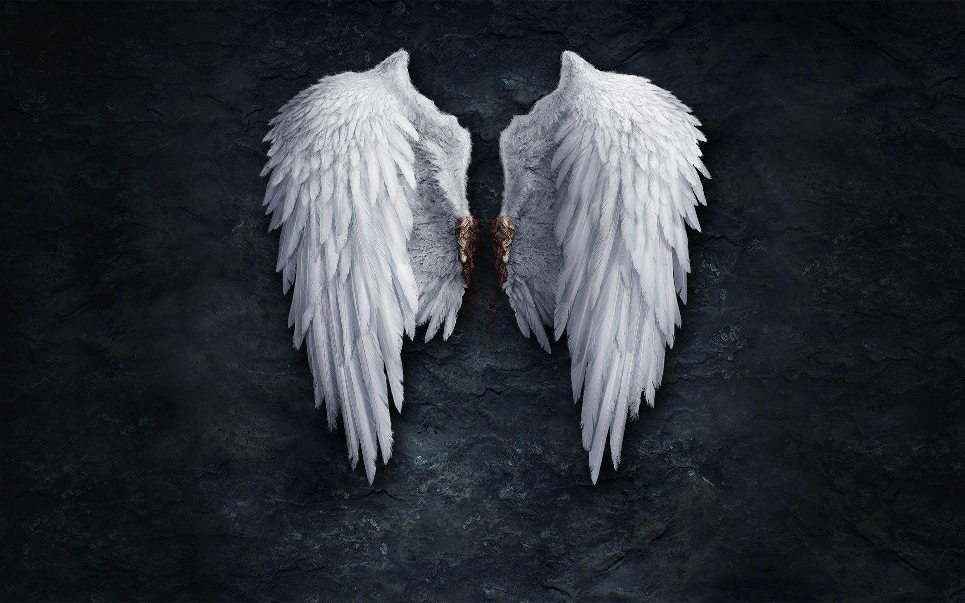 Pix For > Angel Wings Background