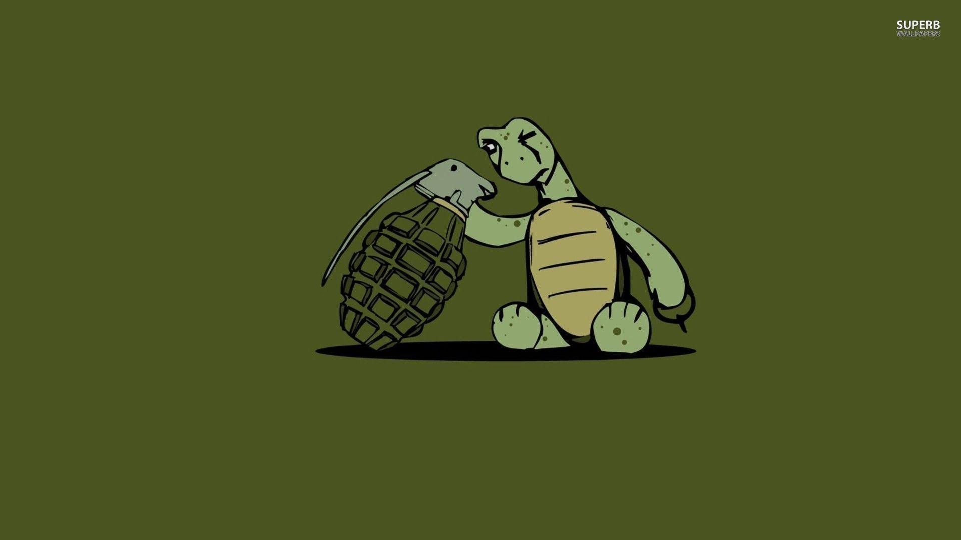 Turtle looking at a grenade wallpaper wallpaper - #