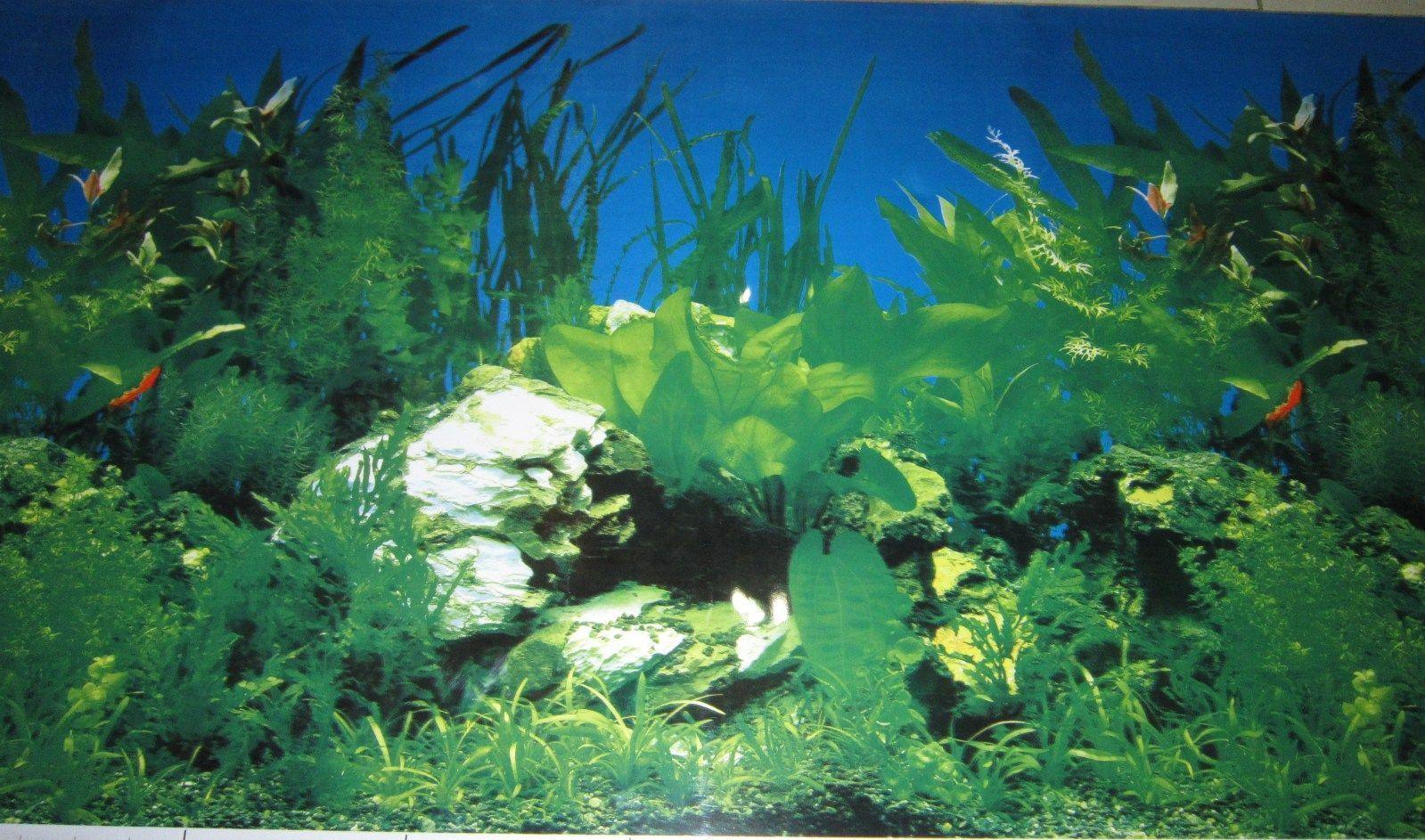 Aquarium Background Decoration Planted and Driftwood 36" x 23 5