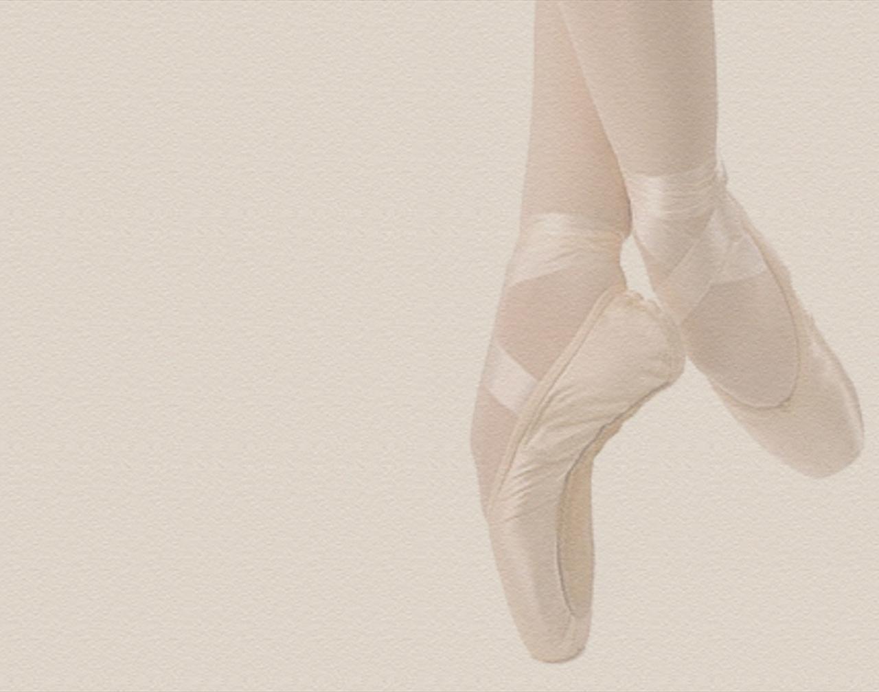 Wallpaper For > Ballet Shoes Wallpaper