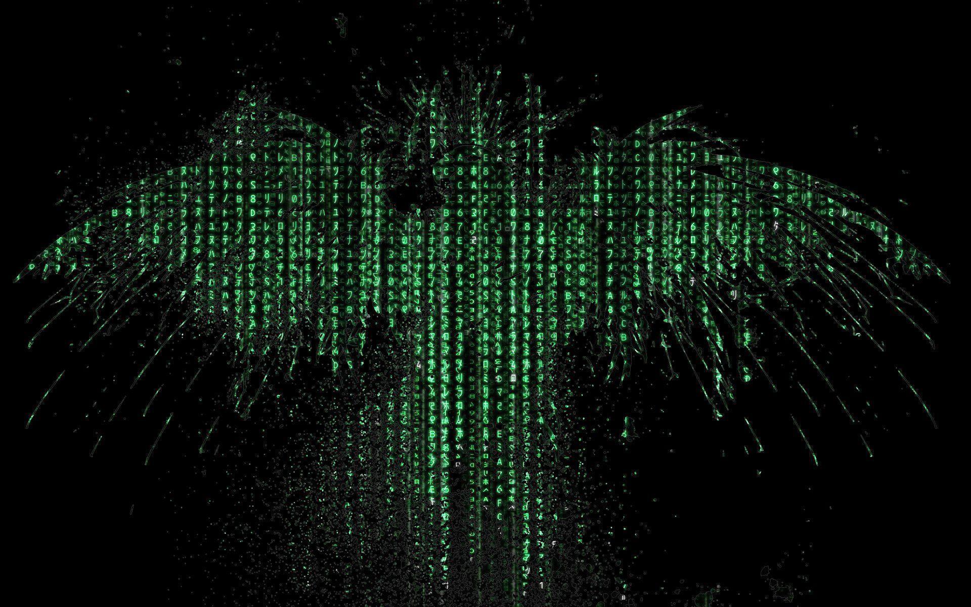 Abstract, Matrix Wallpaper Bird background