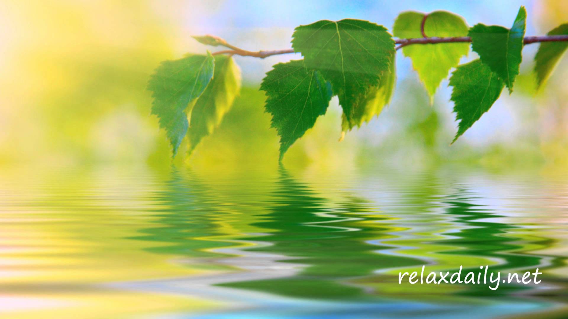 Calm And Peaceful Background