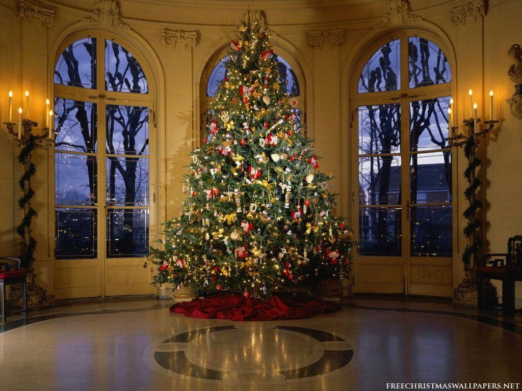Luxuriant Christmas Tree Wallpaper