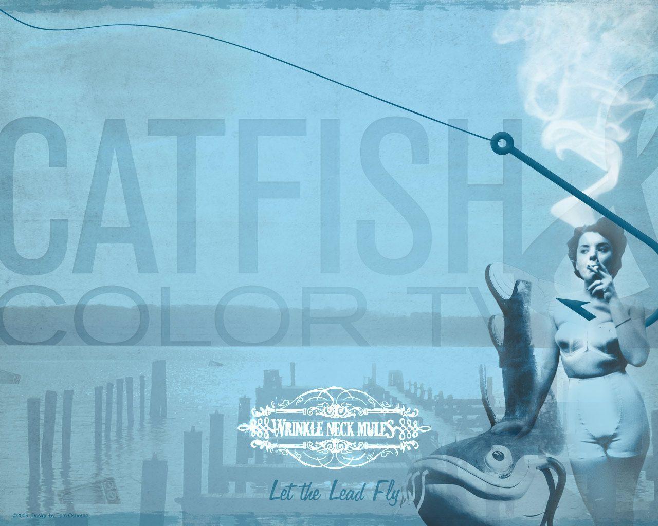Catfish Wallpapers - Wallpaper Cave
