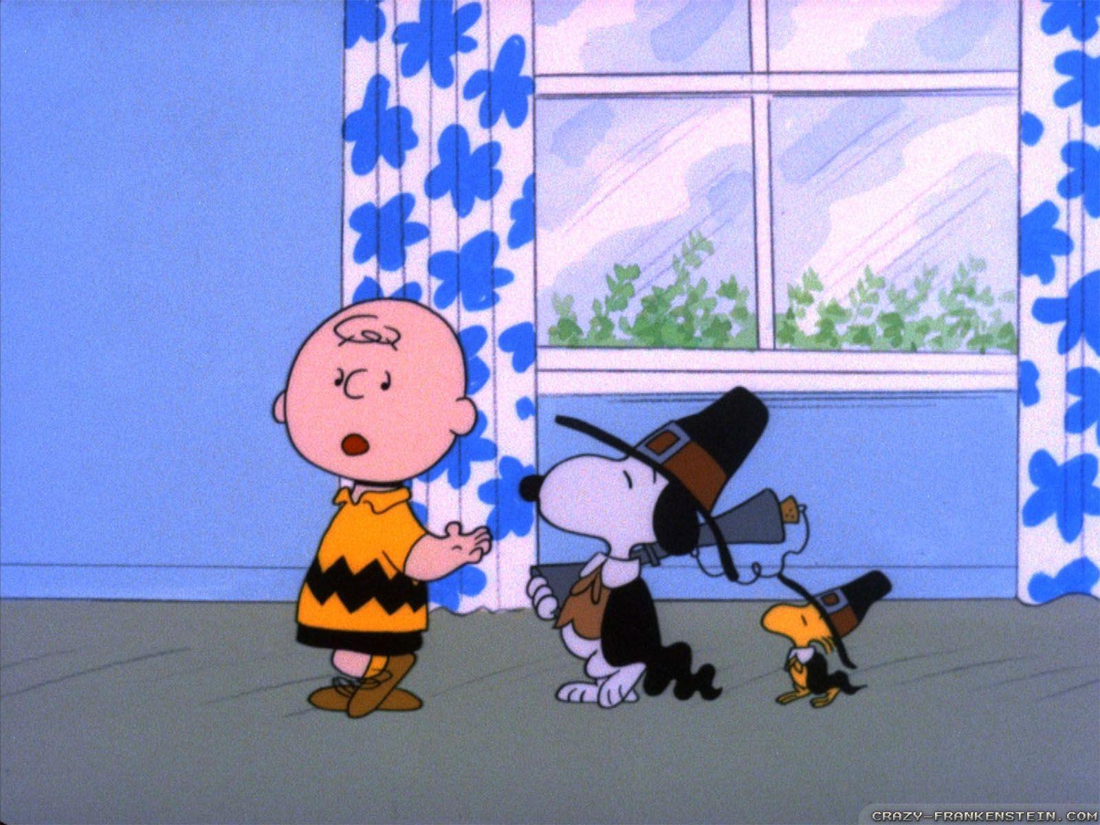 Charlie Brown Thanksgiving Background HD Wallpaper Desktop