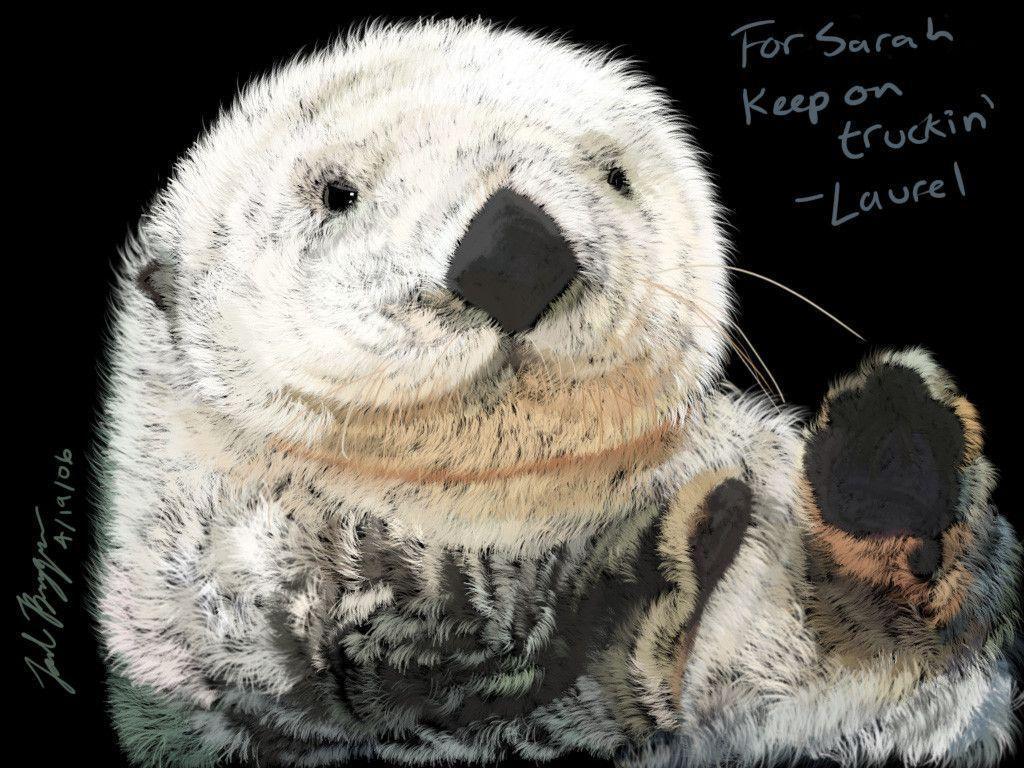 Sea Otter By Dr Schreaber