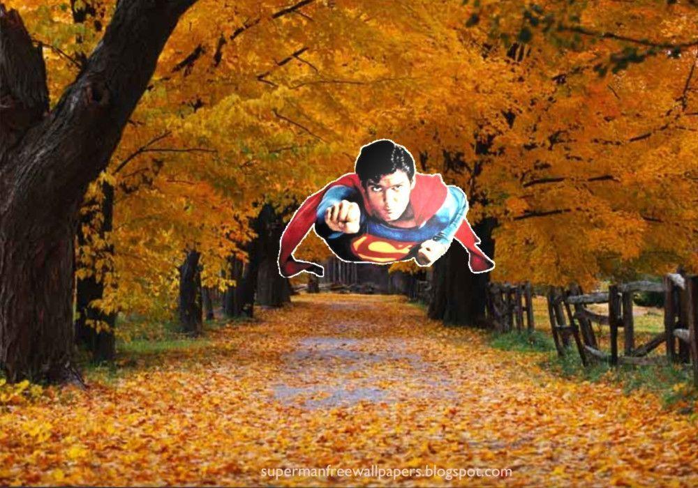 Superman Free Comic Superhero Wallpaper: Superman desktop