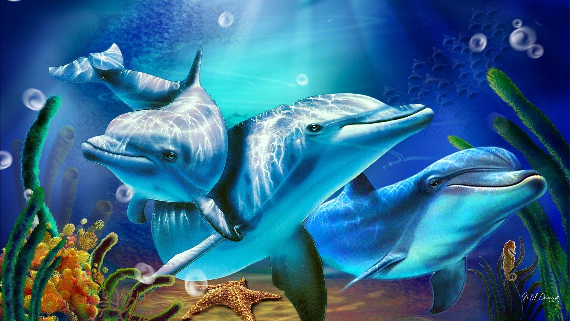 3D Living Dolphin HD Wallpaper Wallpaper Inn