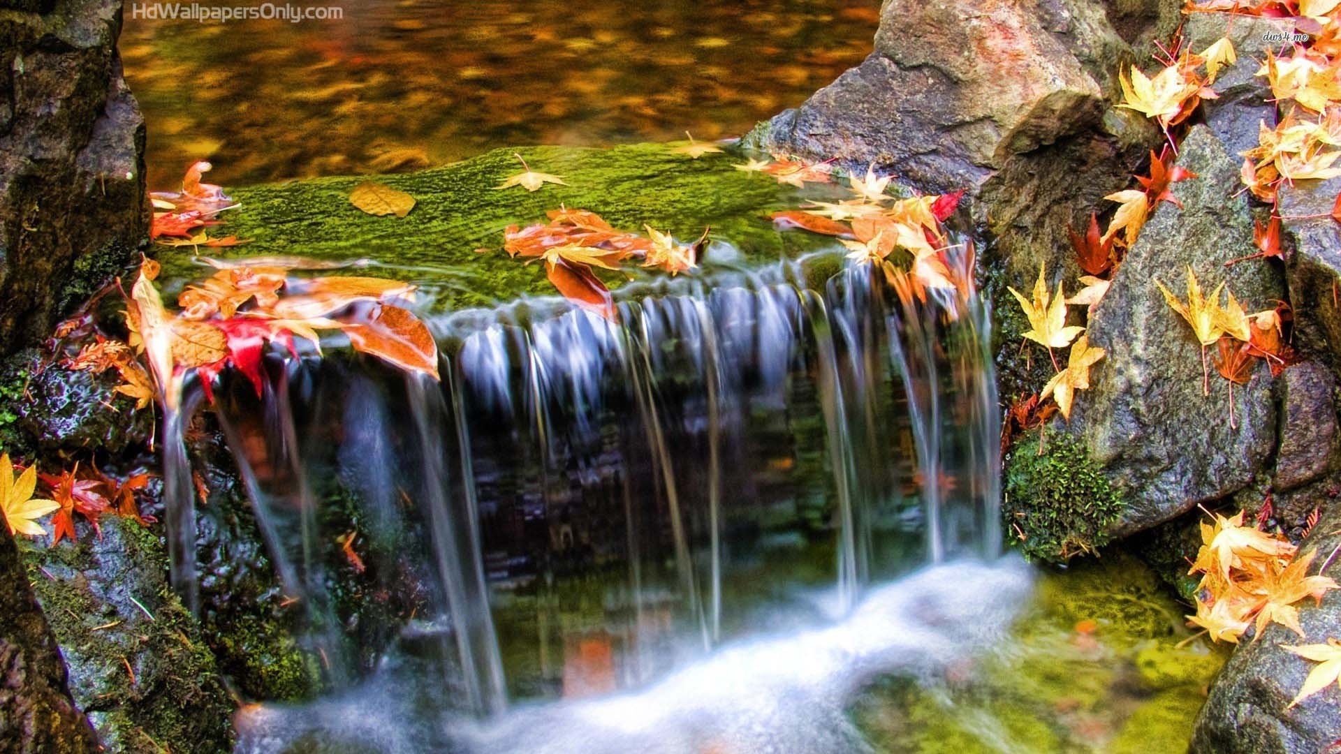 Beautiful Waterfall In Autumn. walluck