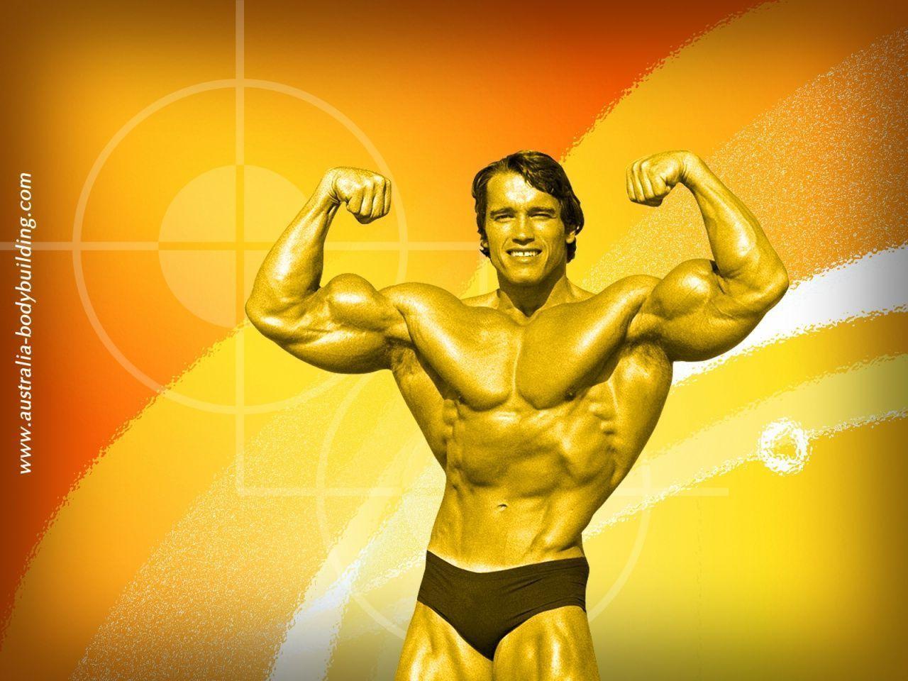 Arnold Schwarzenegger Body Desktop Wallpaper