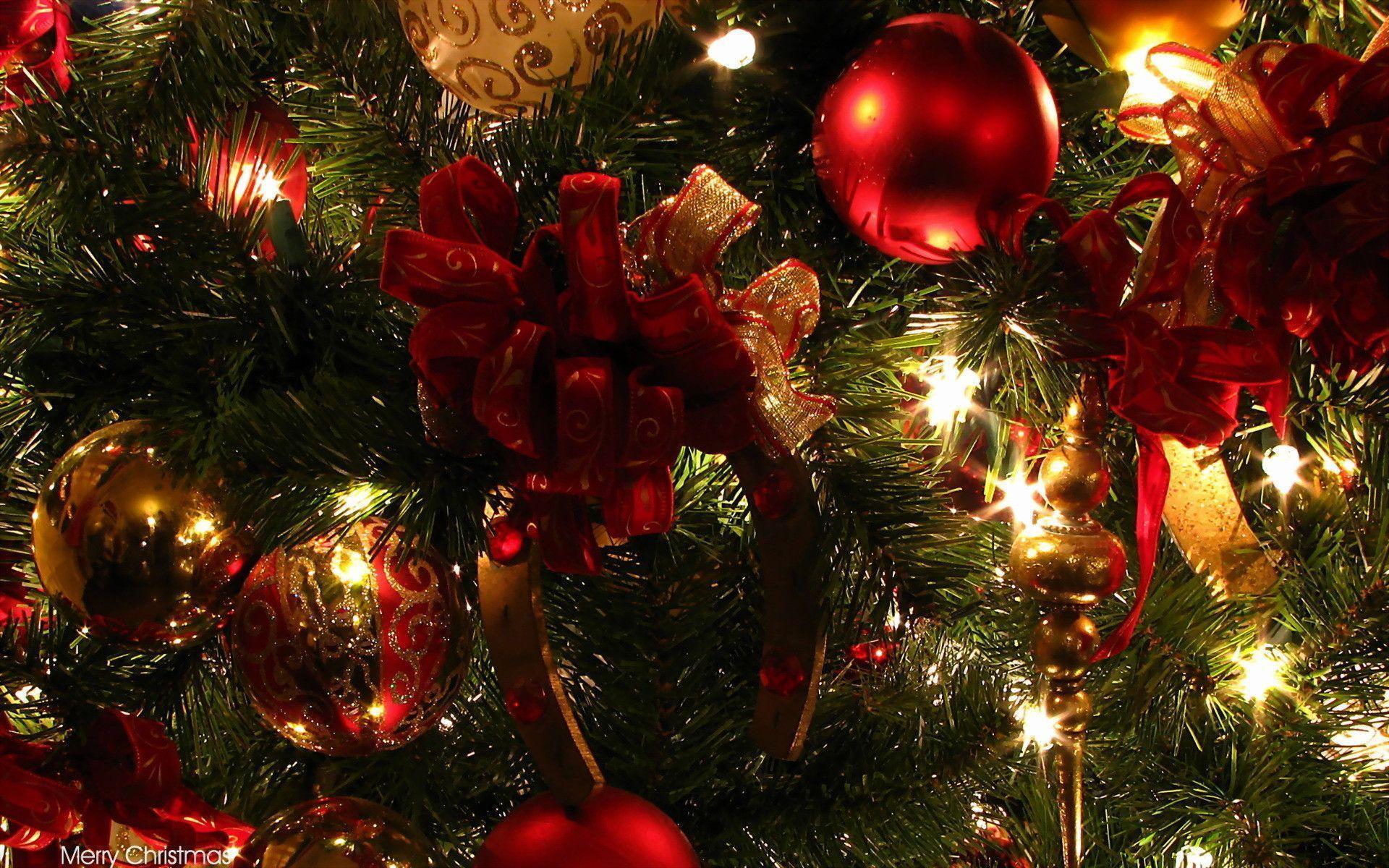 image For > Christmas Tree Desktop Background