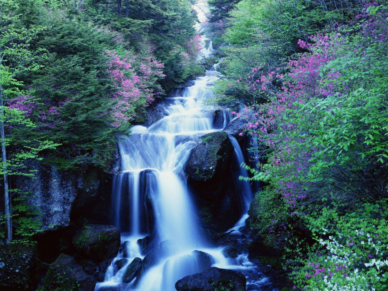 Blue_waterfalls_Nature_Vistas_