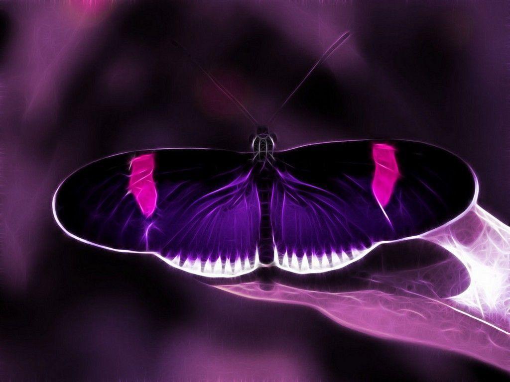 Animals For > Cool Purple Butterfly Background