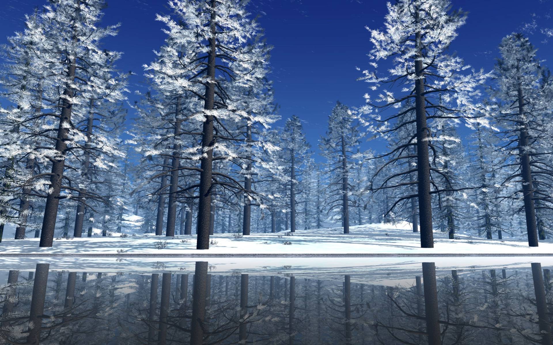 Snow Pine Tree free background