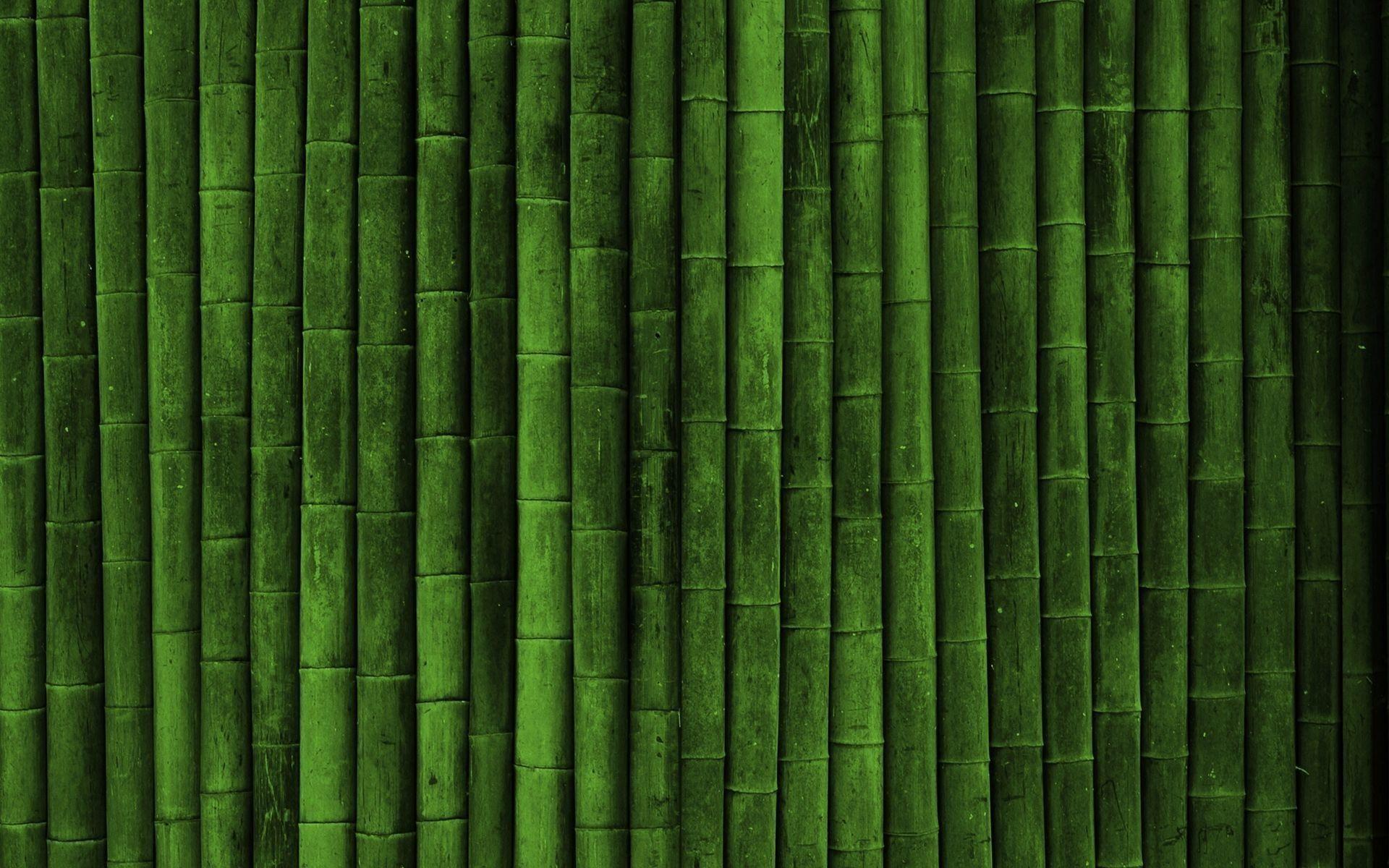 Bamboo Wallpaper HD wallpaper search